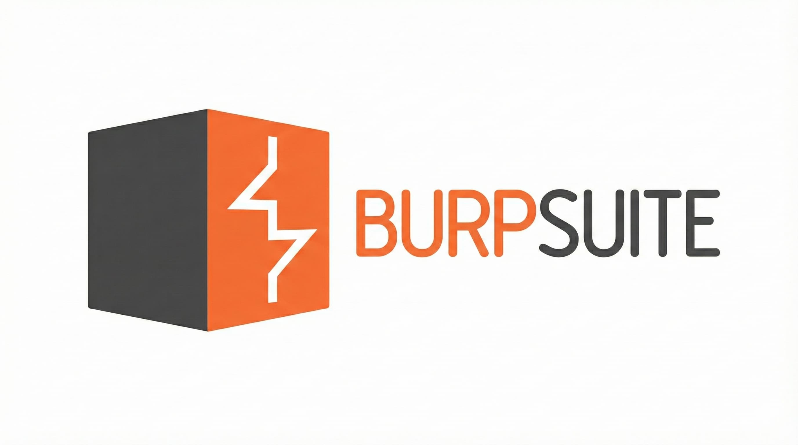 Burp Suite Logo